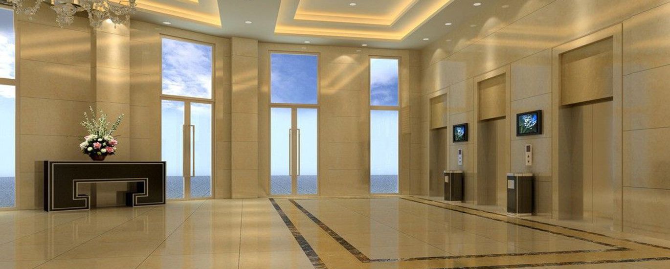 HAGISON ELEVATOR