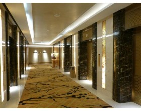 Other elevator types